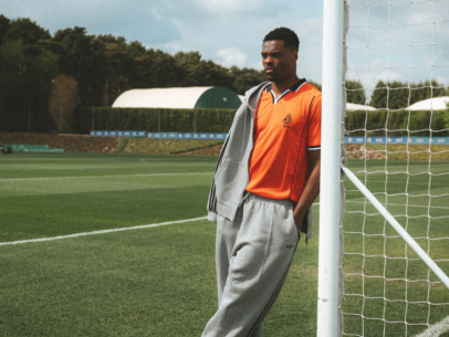 Denzel Dumfries Helden